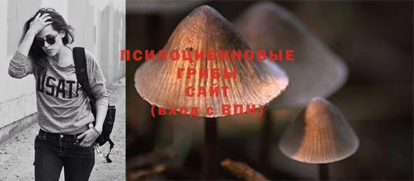 mdpv Мегион